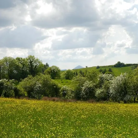Bed and Breakfast The Garden Gates Guest Castlebar